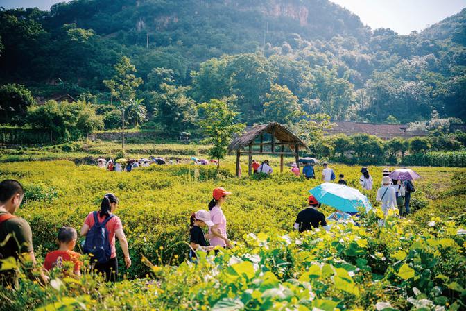 上海文化旅游局